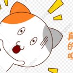 沖縄 台湾大学 進学｜中国語教室- 真的嗎？｜台湾受験ゼミナール沖縄校