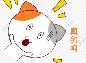 沖縄 台湾大学 進学｜中国語教室- 真的嗎？｜台湾受験ゼミナール沖縄校