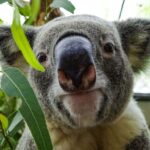 台湾留学生活｜台北市立動物園｜台湾受験ゼミナール沖縄校